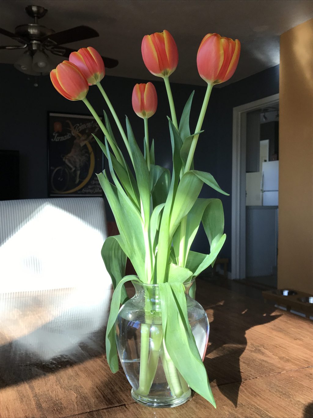 The Home-Body Connection