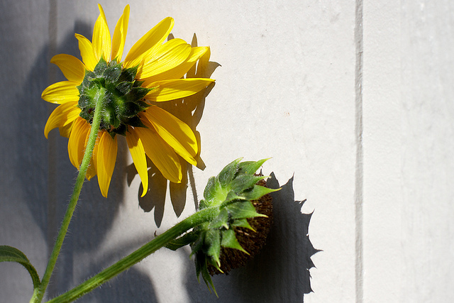 The Shame in&nbsp;Decluttering